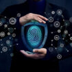 Identity And Access Management And Zero Trust